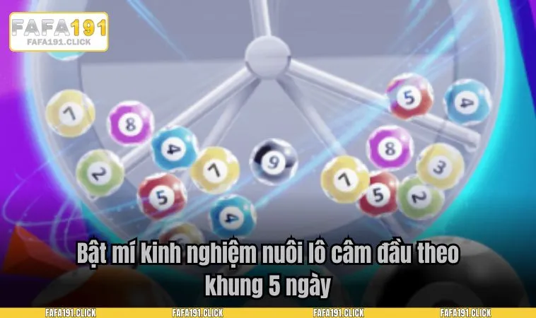 cach tinh lo cam 3 Bật mí kinh nghiệm nuôi lô câm đầu theo khung 5 ngày